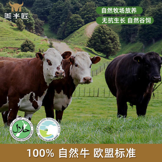 PS级草饲腱子芯 新西兰进口 纯腱芯3条独立包装 约2.6斤 牛腱子 天花板等级 商品图4