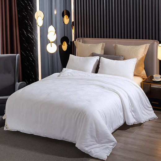 PLOVER啄木鸟(PLOVER)夏被-纯棉提花蚕丝被-ZMN-CSXB-02 商品图0