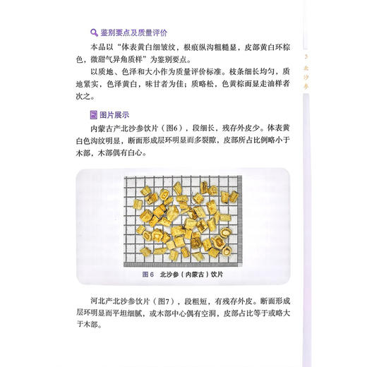 常见中药饮片产地辨识彩色图鉴 倪观锋 傅厚道 陆树萍 范志英 杨锟达 主编 本书具有实用和直观的特点等 科学技术文献出版社 商品图4