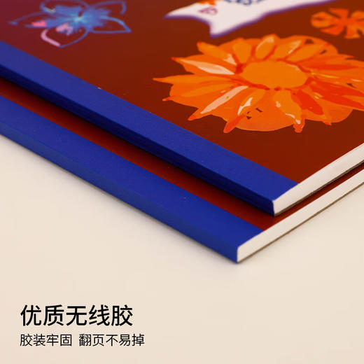 国誉Campus胶装马克本 A4/30页 WCN-CSKM0233 商品图3