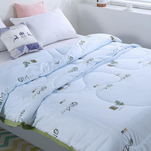 PLOVER啄木鸟家纺艾草被-夏被 天蓝色 200cm*230cm 商品图1