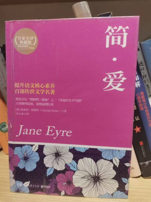【独家旧书3折】简·爱 二手书籍（新疆 西藏 甘肃 青海 海南不发货）bj 商品图0