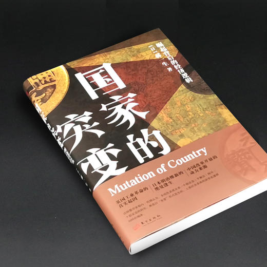 国家的突变：崛起背后的经济逻辑 商品图2