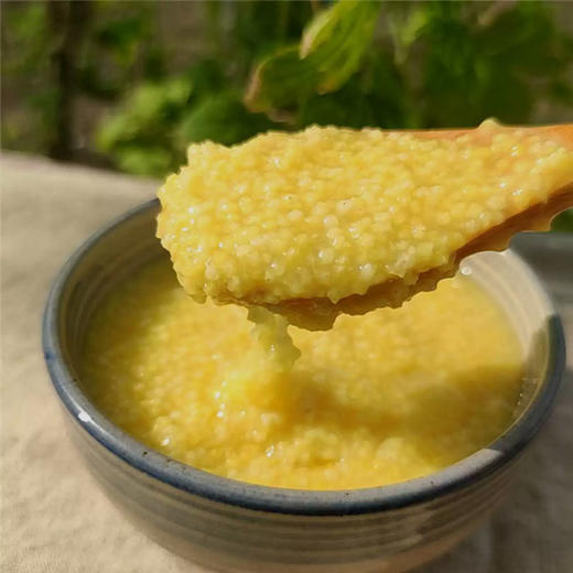 2025新米山东沂蒙山米脂黄小米 商品图4