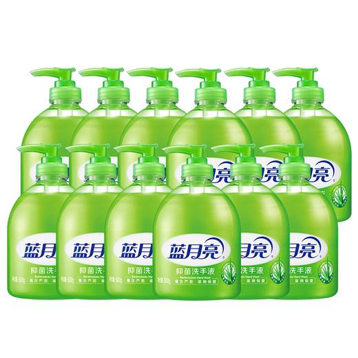 洗手液合集-整箱【品牌直发】消灭99%病菌 |蓝月亮芦荟滋润清爽洗手液500g瓶装  多规格可选 80000618、80000581 商品图0