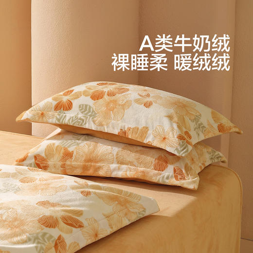 水星家纺A类牛奶绒印花四件套 商品图1