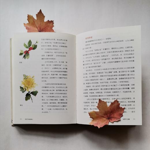 岁时节俗知多少 商品图2