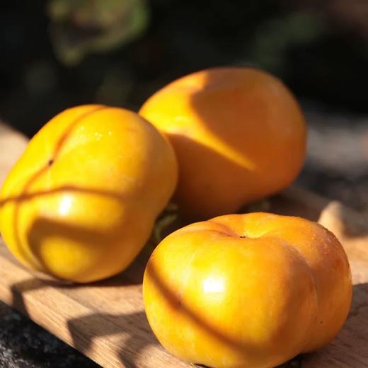 广西恭城脆柿【5斤29元】丨源自月柿之乡 果肉脆香甜 商品图2