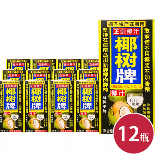 椰树椰汁 植物蛋白饮料1L*12(6901347884343) 商品图0