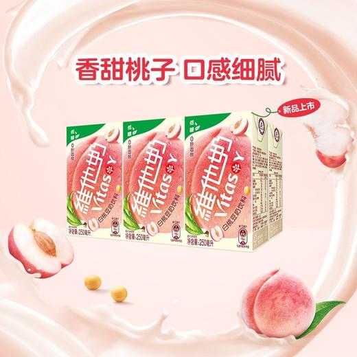 维他奶原味豆奶 250ml 商品图2