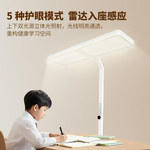 憩尔目-红养系列 压轴稀土光大路灯L1（户外级4000Lux版）憩尔目户外级大路灯 学生专用 商品图2