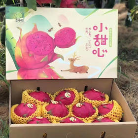 【顺丰】海南金都一号红心火龙果礼盒装