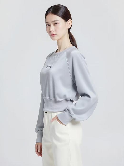 【工艺系列卫衣】刺绣款～95%棉短款宽螺纹牙刷绣卫衣-喜出 商品图3