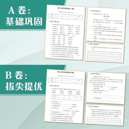 学习与评价·初中语文活页卷 九年级上册 商品图2
