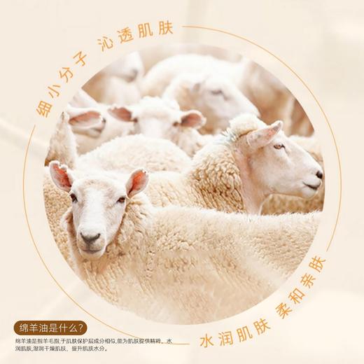 澳洲绵羊油轻盈秋冬保湿霜烟酰胺滋润多用保湿面霜身体乳凡士林霜 商品图3