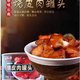 【超市】宁州香烧皮肉罐头400g