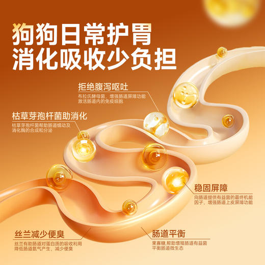 经典系列通用狗粮｜肠胃呵护｜健康骨骼｜省心喂养｜多维营养 商品图1