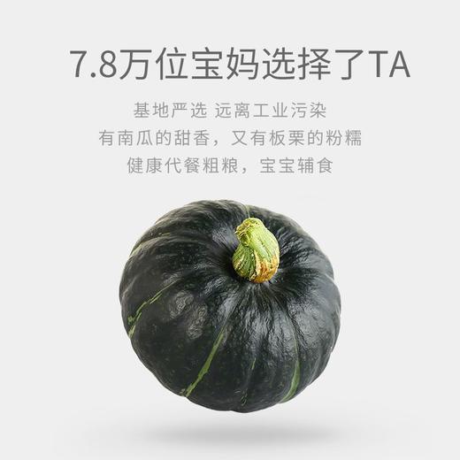 【贝贝南瓜】代餐必吃，无负担粗粮！软糯香甜，口感绵密，皮薄肉厚！还带有浓浓的板栗香！热量低，营养美味！吃上一口滋味甜蜜！【QJ-J】 商品图1