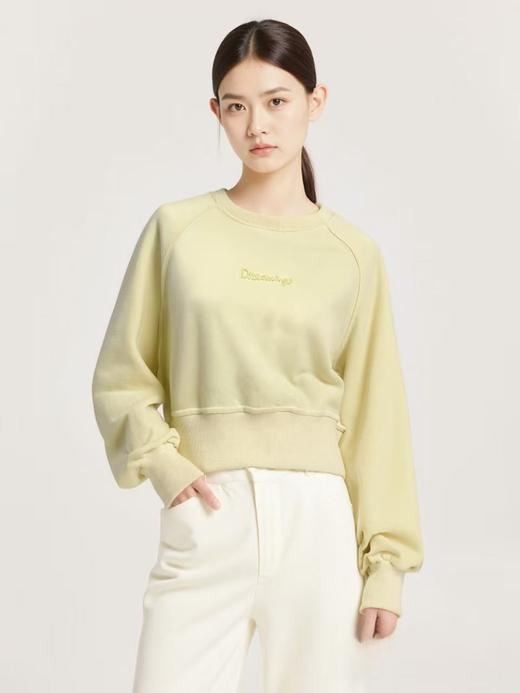 【工艺系列卫衣】刺绣款～95%棉短款宽螺纹牙刷绣卫衣-喜出 商品图0