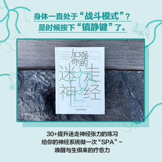 【樊登好书】加强你的迷走神经 商品图1