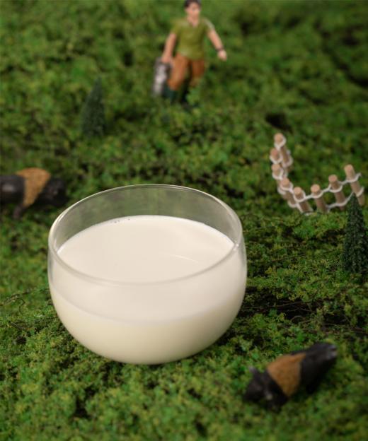 纯真麦洼牦牛奶粉 4300米高原自然放牧 原生乳钙更营养 商品图2