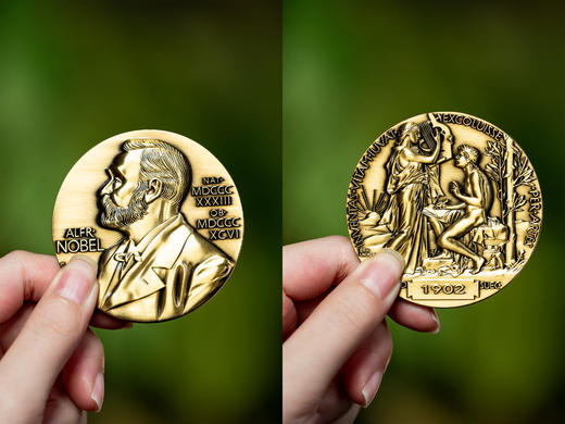 《诺贝尔文学奖全集》典藏纪念版|收录121位诺奖大家代表作，精美装帧、翻译丝滑、值得收藏，一次读尽世界经典文学 商品图6