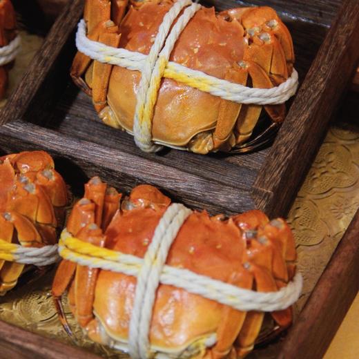 【阳澄湖大闸蟹】有溯源防伪戒指，每只身份均可查验，每一只螃蟹的品质都超好，凌晨捕捞，精细挑选，分装扎蟹，当天打包发货，新鲜直达，层层把控 商品图9