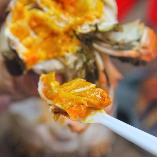 【阳澄湖大闸蟹】有溯源防伪戒指，每只身份均可查验，每一只螃蟹的品质都超好，凌晨捕捞，精细挑选，分装扎蟹，当天打包发货，新鲜直达，层层把控 商品图4