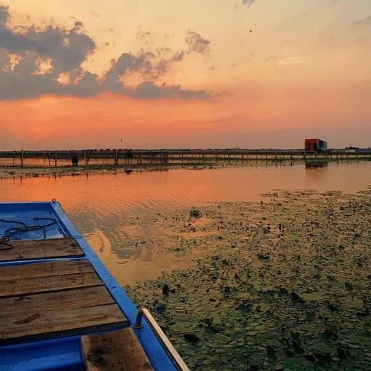 【阳澄湖大闸蟹】有溯源防伪戒指，每只身份均可查验，每一只螃蟹的品质都超好，凌晨捕捞，精细挑选，分装扎蟹，当天打包发货，新鲜直达，层层把控 商品图8
