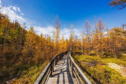 内蒙｜敖汉旗亲子探秘——开启穿越八千年的农耕奇旅 商品图4