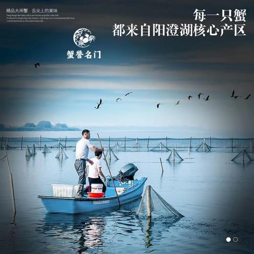 【阳澄湖大闸蟹】有溯源防伪戒指，每只身份均可查验，每一只螃蟹的品质都超好，凌晨捕捞，精细挑选，分装扎蟹，当天打包发货，新鲜直达，层层把控 商品图7