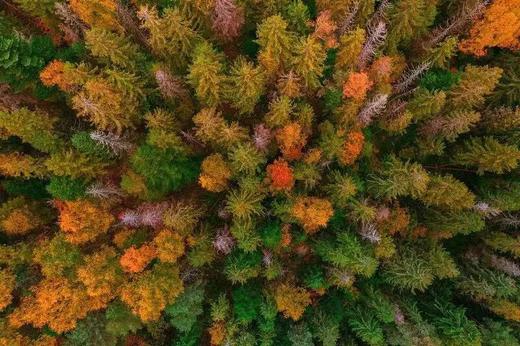 内蒙｜敖汉旗亲子探秘——开启穿越八千年的农耕奇旅 商品图1