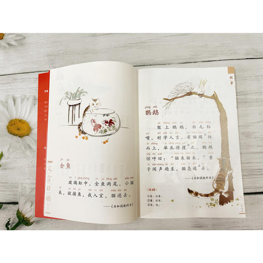《文言日诵》(全4册） 商品图12