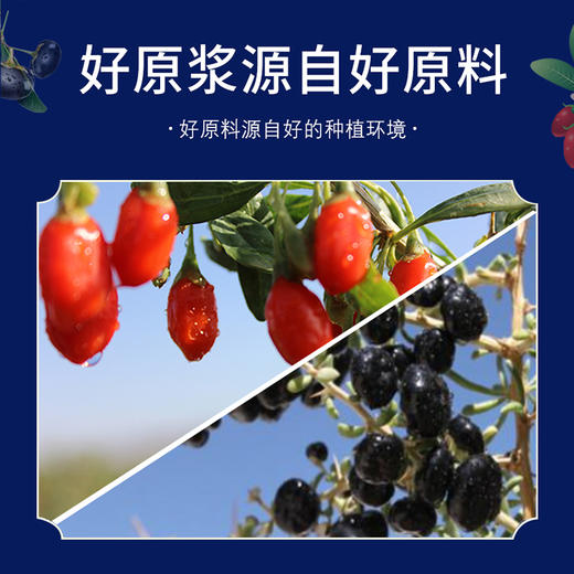 沃福百瑞星杞几红黑1+1枸杞原浆 商品图2