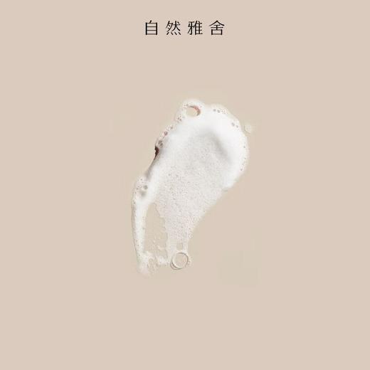 自然雅舍高山雪松珍萃男士洗发液300ml/瓶 商品图3