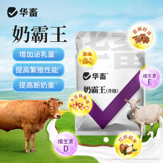 华畜母猪催奶下奶牛羊兽用奶多多饲料添加剂母畜产后催乳增奶霸王 商品图0