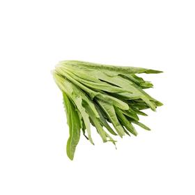 【超市】芸岭 有机油麦菜250g（买三赠一，赠品请备注）