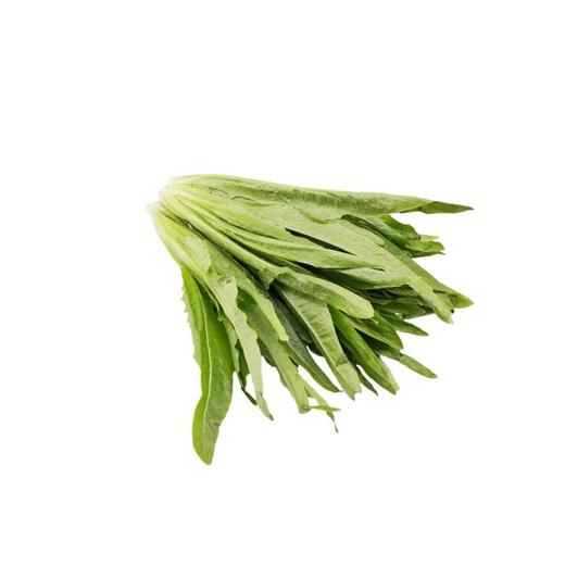 【超市】芸岭 有机油麦菜250g（买三赠一，赠品请备注） 商品图0