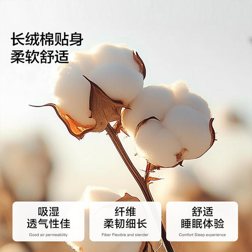 水星集团百丽丝家纺100S长绒棉贡缎被套yc0302001 商品图1