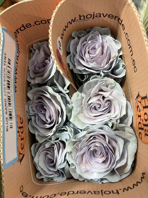 厄瓜多尔进口染色高端花材Blue Sand蓝色沙子玫瑰花10支 商品图5