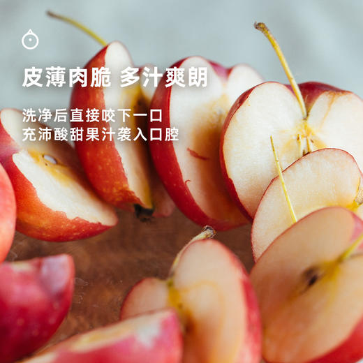 企鹅市集|新疆伊犁 香妃海棠果3斤/4斤装 酸甜浓郁 风味集中饱满 商品图4