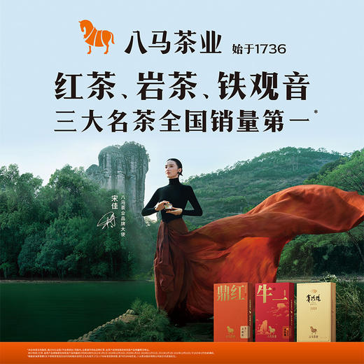 八马茶业｜赛珍珠系列 安溪铁观音浓香型茶叶乌龙茶礼盒装150g 赛珍珠1000礼盒装 商品图7