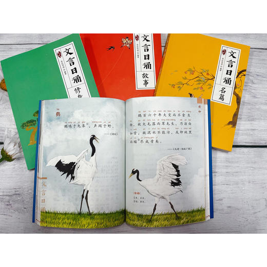 《文言日诵》(全4册） 商品图14