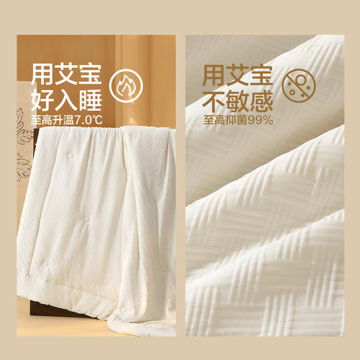 水星家纺抗菌四季被冬被被芯被子保暖A类艾草被家用床上用品严选 商品图2