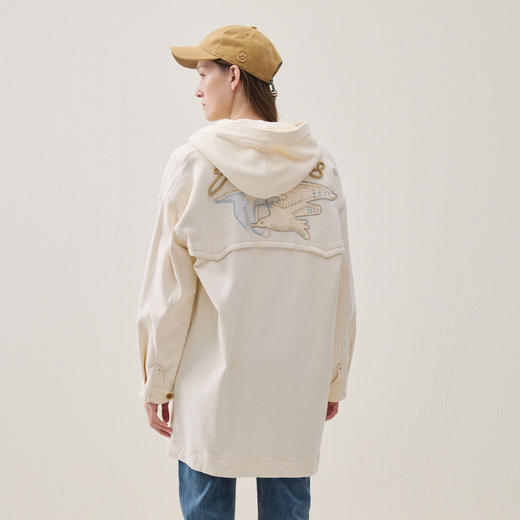 谜底牛仔连衣裙长袖2025年冬季新品H型磨毛刺绣短裙女254ML1632 商品图2