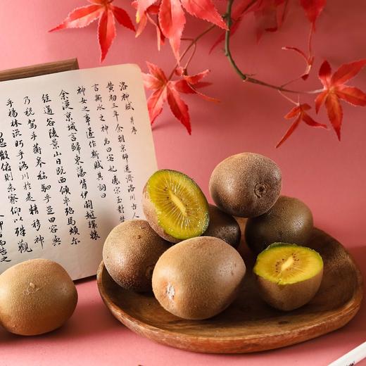 正阳山“金龙2号”   “翠香”  有机猕猴桃 商品图2