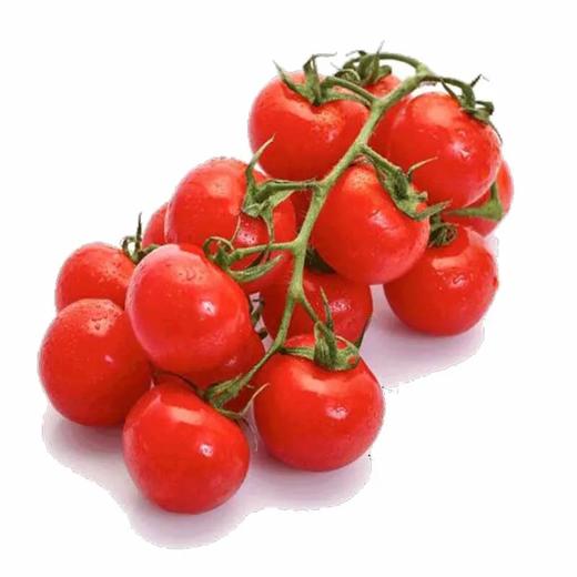 【超市】良道 有机西红柿（红）600g（买三赠一，赠品请备注） 商品图0