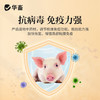 【积分兑换】华畜瘟毒清鸡鸭鹅猪牛羊抗病毒清瘟抗瘟提高免疫力 商品缩略图3