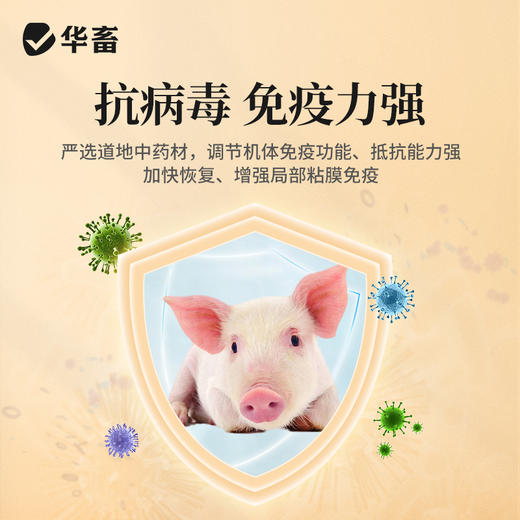 【积分兑换】华畜瘟毒清鸡鸭鹅猪牛羊抗病毒清瘟抗瘟提高免疫力 商品图3