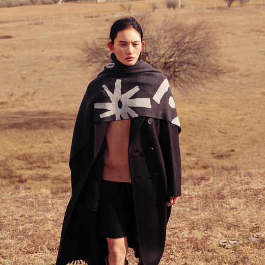 东黎 • 山羊绒女士秋季古老岩画流苏围巾 5603 商品图4